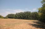 4390160