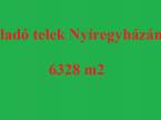 4381569