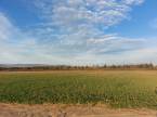 4391582