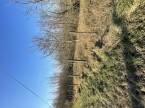 5681533