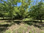 5054806