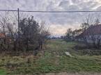6550057