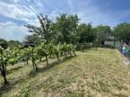 6492808