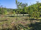 6491975