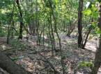 7108288