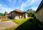 6774619
